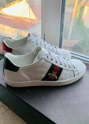 Кеды gucci ace оригинал
