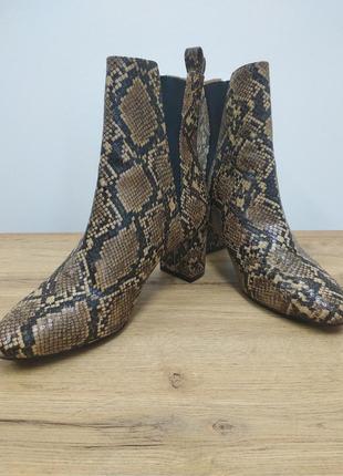 H&amp;m демагосезонные челси ботинки ботильоны на каблуке в анималистичный змеиный принт 39.5 40 25.5 см
