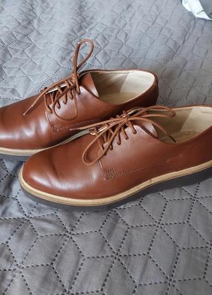 Взуття clarks2 фото