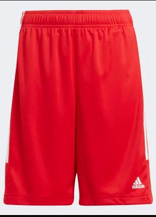 Шорты Game sportswear Бангладеш1343. красные спортивные шорты adidas