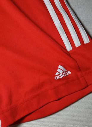 Шорты sereno sportswear Бангладеш1343. красные спортивные шорты adidas4 фото