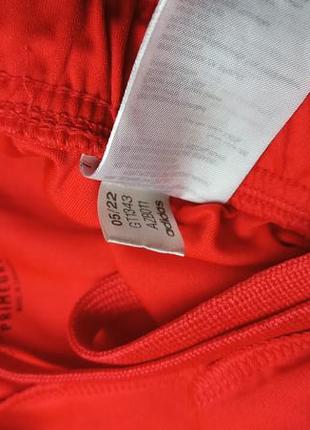 Шорты sereno sportswear Бангладеш1343. красные спортивные шорты adidas6 фото