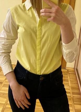 Базовая рубашка лимонного цвета hilfinger 🔥