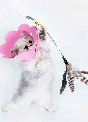 Воротник-ошейник "для заживления ран" для собак и кошек pink flower size xs6 фото
