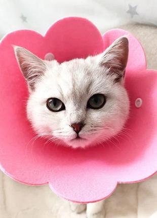 Комір-нашийник "для загоєння ран" для собак і кішок pink flower size xs