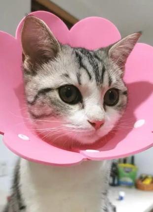 Воротник-ошейник "для заживления ран" для собак и кошек pink flower size xs3 фото