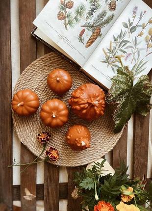 Осенний стильный набор свечей из пчелиного воска в виде тыкв, 5 шт