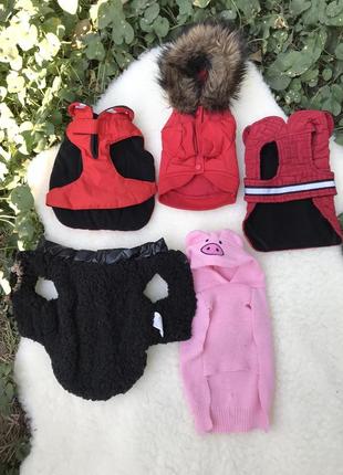 Куртки комбинезоны накидки кофты собакам2 фото