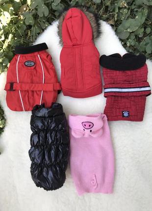 Куртки комбинезоны накидки кофты собакам