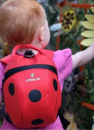 Little life рюкзак с поводком animal toddler