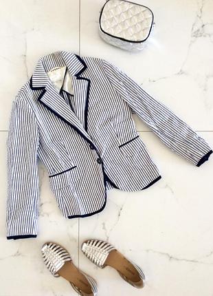 Піджак у смужку, massimo dutti