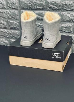 Ugg australia серые женские/ подростковые ботинки угги размеры 35-413 фото