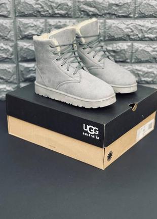 Ugg australia серые женские/ подростковые ботинки угги размеры 35-412 фото