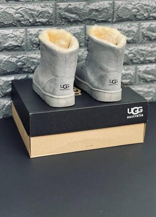 Ugg australia серые женские/ подростковые ботинки угги размеры 35-416 фото