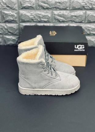 Ugg australia серые женские/ подростковые ботинки угги размеры 35-418 фото