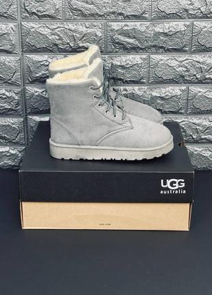 Ugg australia серые женские/ подростковые ботинки угги размеры 35-419 фото