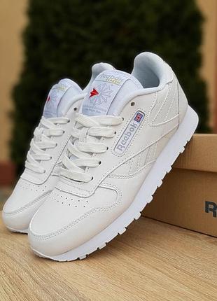Кросівки reebok classic кроссовки