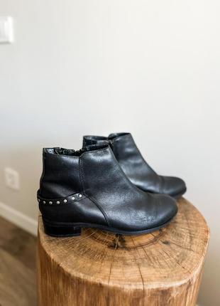 Стильные сапоги казаки