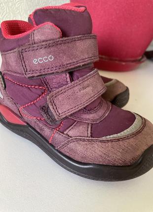 Ecco gore tex демисезонные