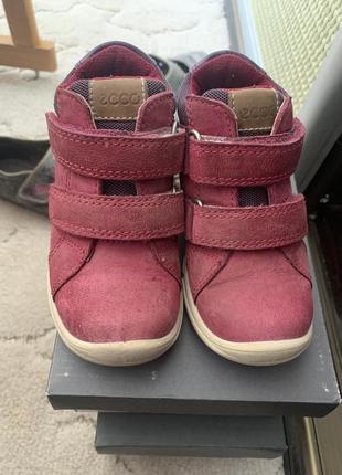 Демісезонні кросівки черевики ботинки хайтопи ессо екко ecco 24