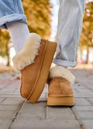 Угги ugg classic ultra mini4 фото