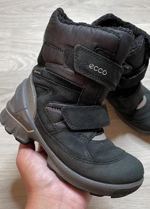 Зимові черевики ecco biom hike