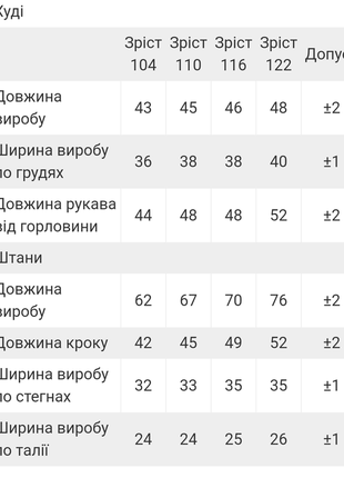 Теплий спортивний зимовий костюм на флісі, утеплений флісом комплект для дівчат, тёплый костюм на флисе2 фото