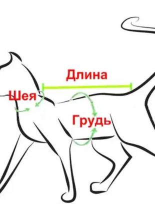 Свитер для котов вязаный cat коричневый хаки dogs bomba2 фото