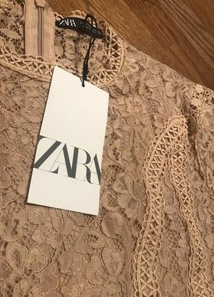 Гипюровая / кружевная блузка zara, p. m6 фото