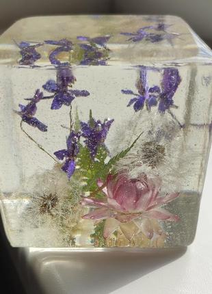 Акція!!! акція!!! акція!!!інтер'єрний куб, натуральні квіти, кульбабки, декор,подарунок,квіти