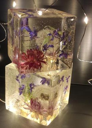 Акція!!! акція!!! акція!!!інтер'єрний куб, натуральні квіти, кульбабки, декор,подарунок,квіти