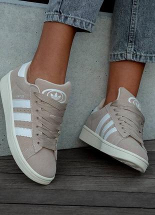 Кросівки adidas campus beige