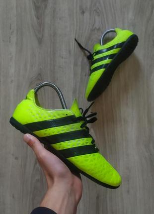 Сороконіжки adidas predator