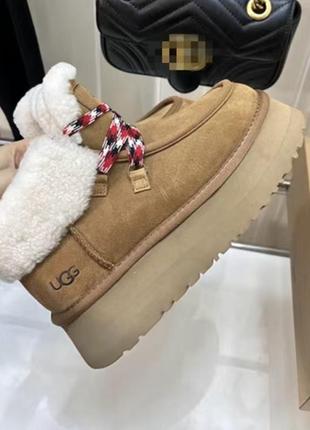 Ugg3 фото