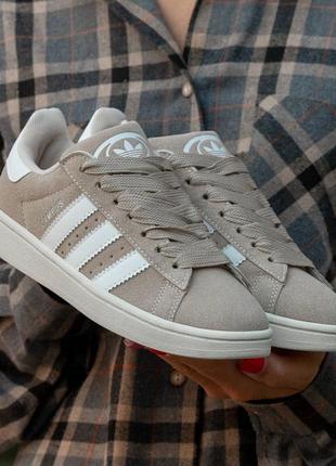 Кроссовки мужские adidas campus beige