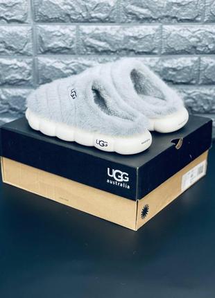 Угг тапцы ugg australia тапочки угг стильные женские угг нежно серые3 фото