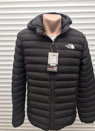 Чоловіча куртка tnf