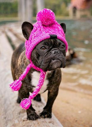 Зимова шапка для собак і котів, тепла шапка для тварин. в'язана шапка для хатніх вихованців10 фото