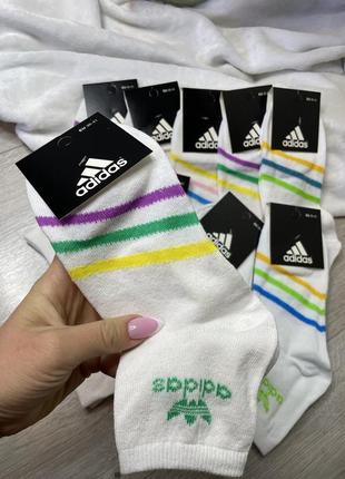 Жіночі шкарпетки адідас