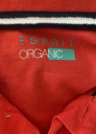 Esprit футболка поло органіка xl l5 фото