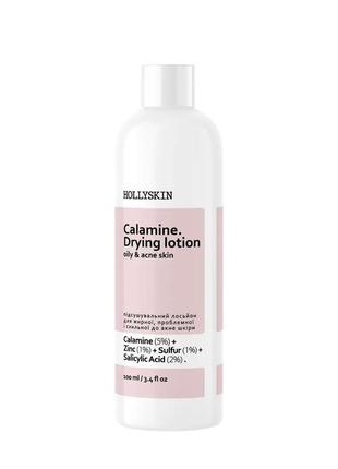 Подсушивающий лосьон для жирной, проблемной и склонной к акне кожи hollyskin calamine. drying lotion 100 мл1 фото