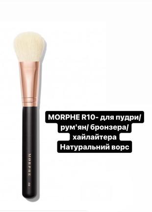 Morphe r10 - для пудри/ рум'ян/ бронзера/ хайлайтера