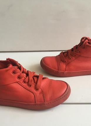 Шкіряні кросівки clarks р. 28 2