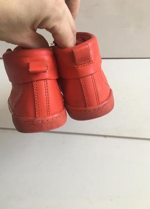 Шкіряні кросівки clarks р. 28 3