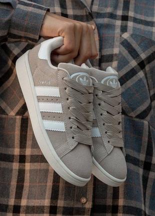 Женские кроссовки adidas campus beige white