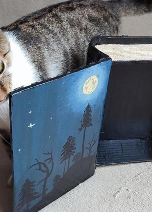 Книга - шкатулка "ночное небо"