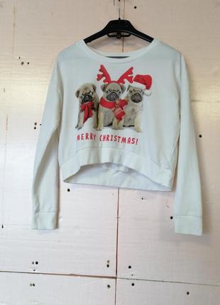 Кофта свитер свитшот светр світшот new look3 фото