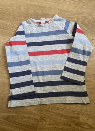 Лонгслив, реглан, кофта