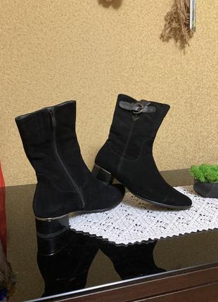 Демитизонные гипоги