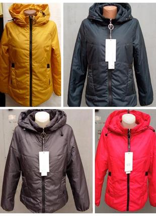 Жіноча демісезонна куртка s, m, l, xl, 2xl - 1631 фото